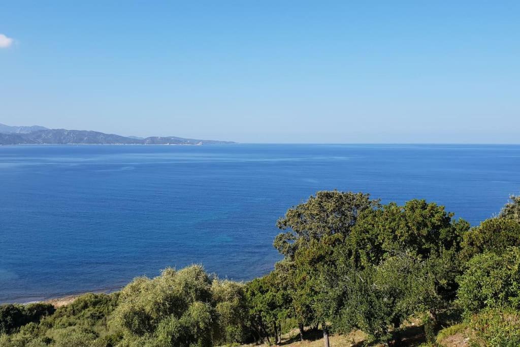 Casa Marine Du Soleil 60 Lägenhet Patrimonio Exteriör bild