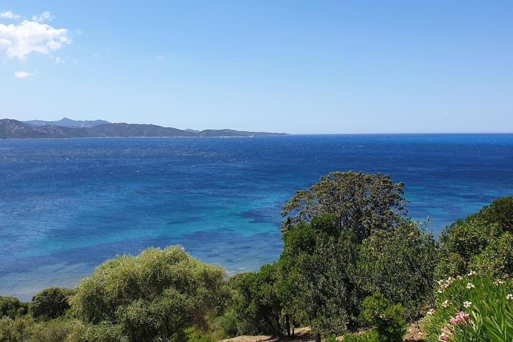 Casa Marine Du Soleil 60 Lägenhet Patrimonio Exteriör bild